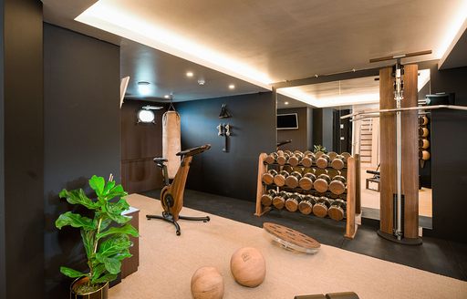 Fully equipped gym onboard charter yacht AGAPE ROSE