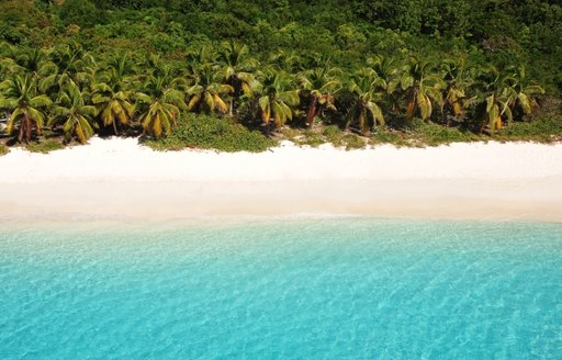 A pristine BVI beach on the island of Tortola