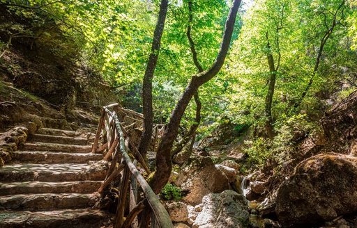Butterflies Valley Rhodes stairs