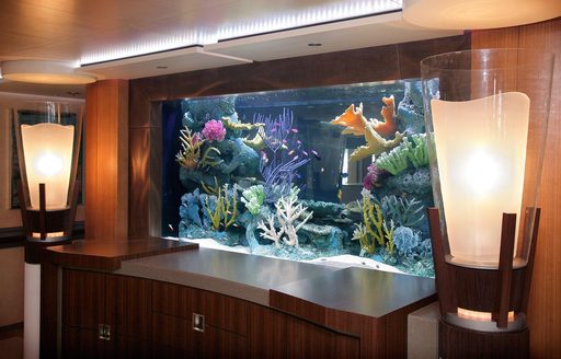 wheels superyacht aquarium 