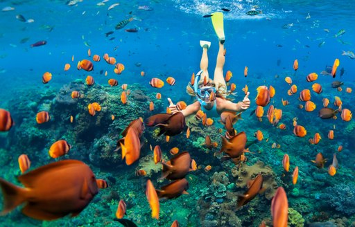 Girl in snorkeling mask dive underwater with tropical fishes in coral reef sea pool