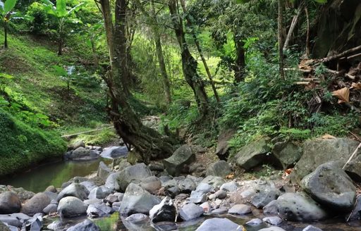 Grenada - Annandale Waterfall & Forest Park river