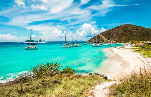 bvi landscape