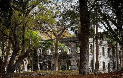 Farley Hill National Park Barbados ruins forest