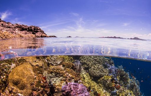 dive site BATU BOLONG in komodo, Indonesia