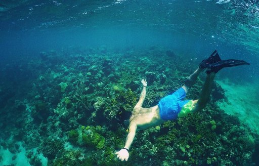 Turks & Caicos - Smith’s Reef scuba diver
