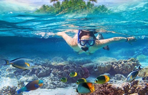 Woman snorkels in clear water of British Virgin Islands with island above surface of the sea