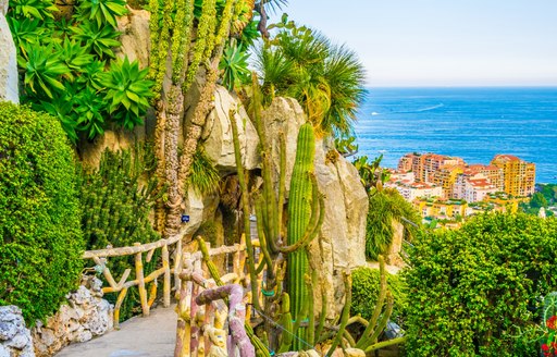 pathway in jardin exotique monaco, with cacti and sea view in background