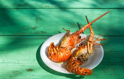 Lobster on a plate on a green table in the BVI's