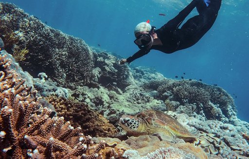 Snorkeler exploring reef in Komodo National Park