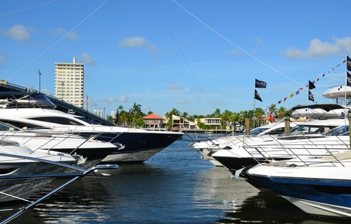 Luxury yachts at FLIBS 