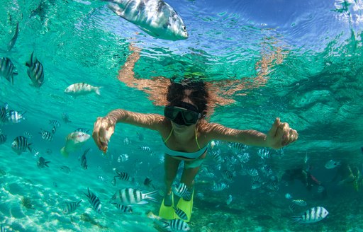 Woman snorkels in clear water in the Bahamas