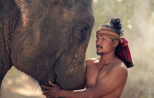 a man looks into the eyes of his elephant friend in thaialnd