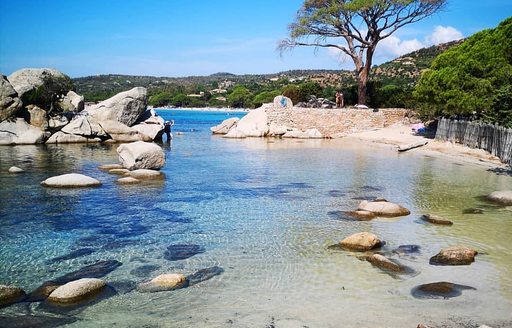 Palombaggia Beach shoreline