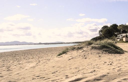 Platja de Muro Mallorca beach
