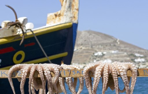 A Greek Captain can find the best seafood available in the area