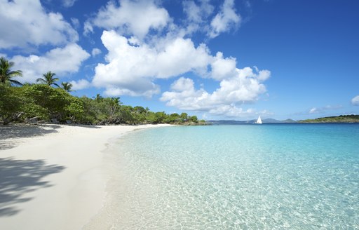 Paradise Caribbean Beach at St John, US Virgin Islands. Clear water, fringed with white sandy beach and blue sky