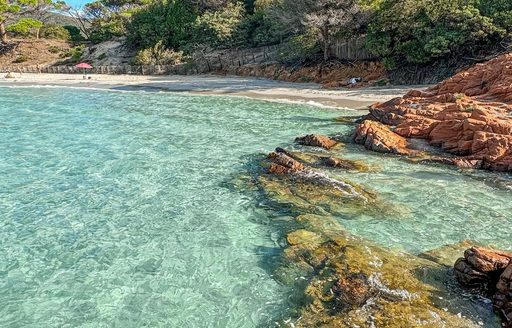 Palombaggia Beach shoreline