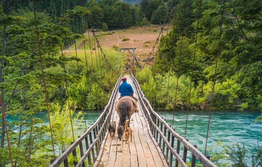Bridge being crossed by local in Patagonia, Chile
