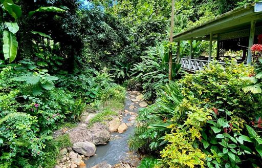 Diamond Falls Botanical Gardens & Mineral Baths St Lucia