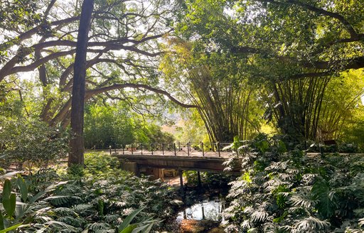 Jardín Botánico - Histórico La Concepción Malaga garden bridge