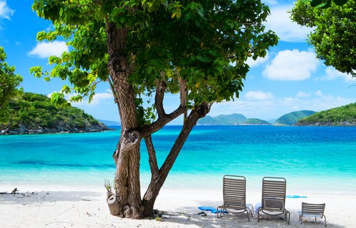 Three chairs on beach next to tree, looking towards clear seas and blue skies