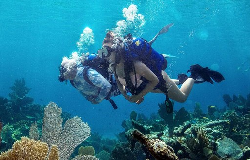 Andros Island - Andros Barrier Reef diving