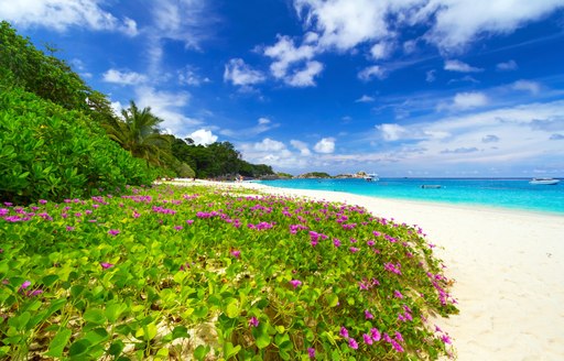 Stunning beach on Similan Islands