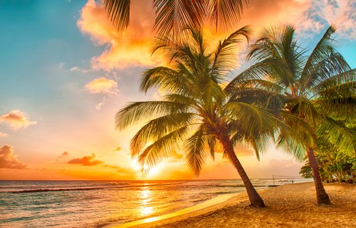 Caribbean beach at sunset