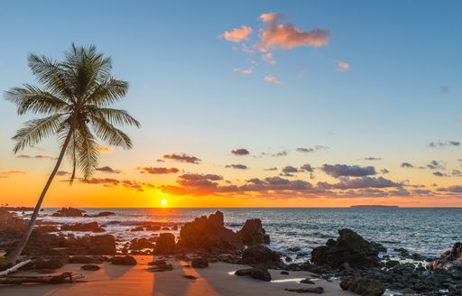 Silhouette of a palm tree and a sand beach inside Corcovado National Park, Costa Rica