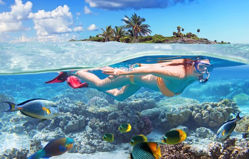 Girl snorkels in the Bahamas, the Caribbean