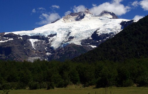 Patagonia - Tronador forest