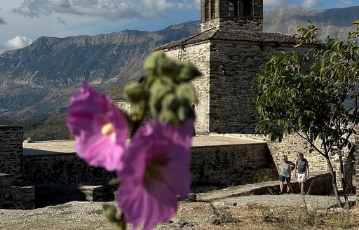View of Gjirokastra Castle with mountains in the background and a flower in the foreground