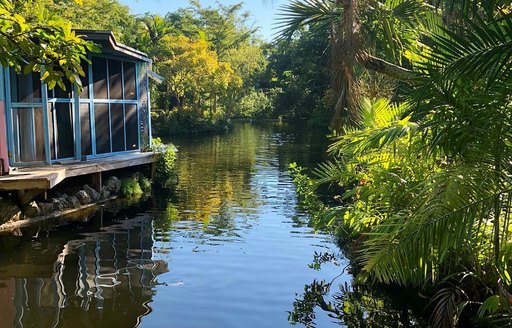 Garden of the Groves Bahamas river