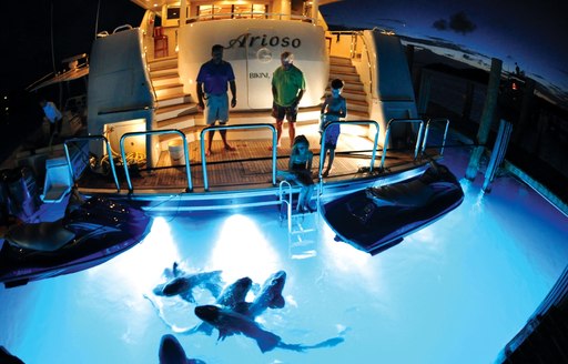 looking at sharks from luxury motor yacht ARIOSO's swimming platform on Caribbean charter vacation