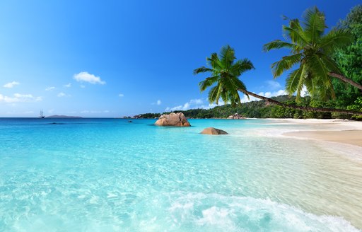 Seychelles beach