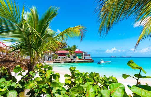 View through tropical foliage of Eden rock in St Barts, Caribbean