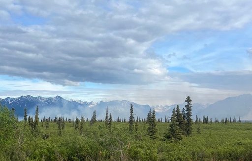 Wrangell-St. Elias National Park & Preserve