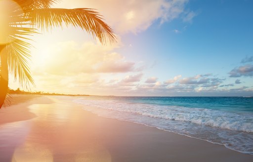 Beautiful sunset over a Caribbean beach with palm tree