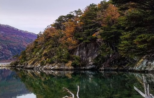 Patagonia - Parque Nacional Tierra del Fuego coast