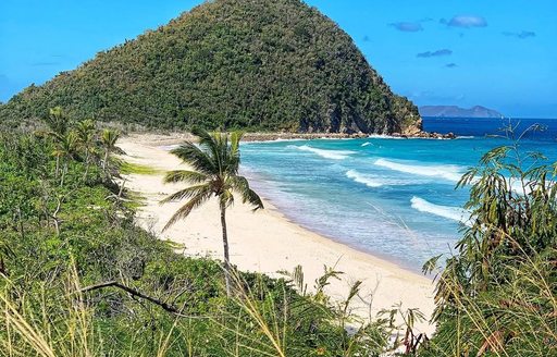 Smuggler's Cove Tortola beach