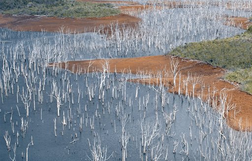 New Caledonia - Blue River Provincial Park Drowned Forest aerial view