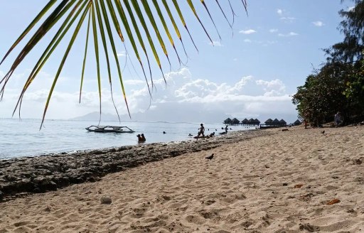Tahiti - Toaroto Beach