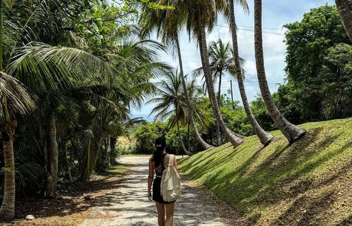 Barbados Wildlife Reserve