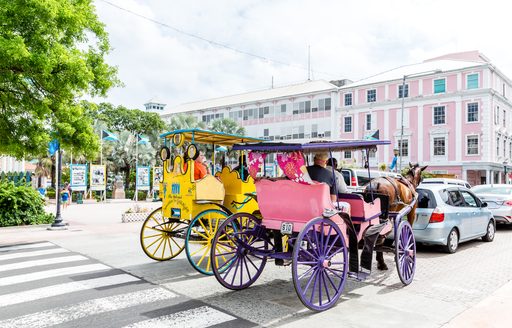 Horse and cart behind cars on road in Nassau, Bahamas