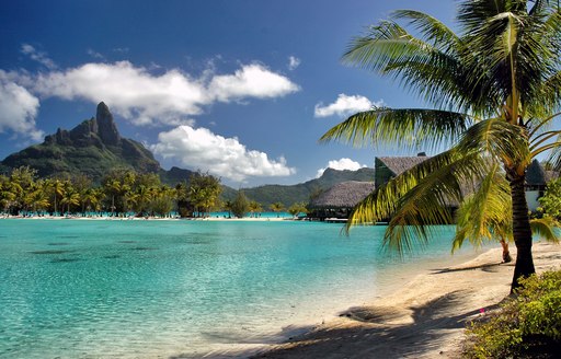 sandy beach with palm trees looked over by mountain in Bora Bora in French Polynesia