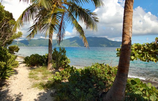 untouched beach on Jost Van Dyke in the British Virgin Islands