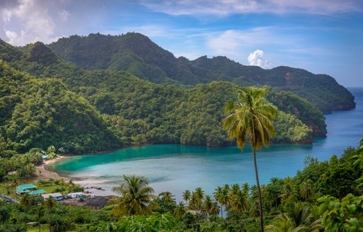 Sea and palm trees in Saint Vincent and the Grenadines, beautiful exotic paradise with mountains and beautiful perfect beaches and colorful turquoise and emerald colored water