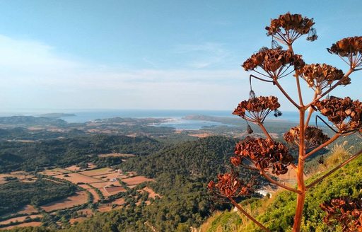 El Toro Menorca view