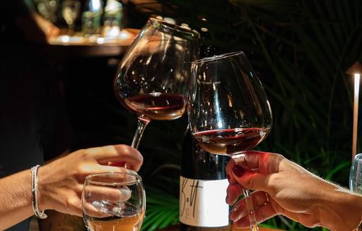 Charter guests toasting red wine